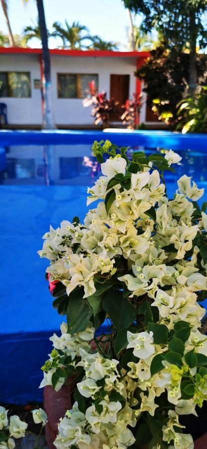 Hotel Oasis Melaque San Patricio Melaque Luaran gambar